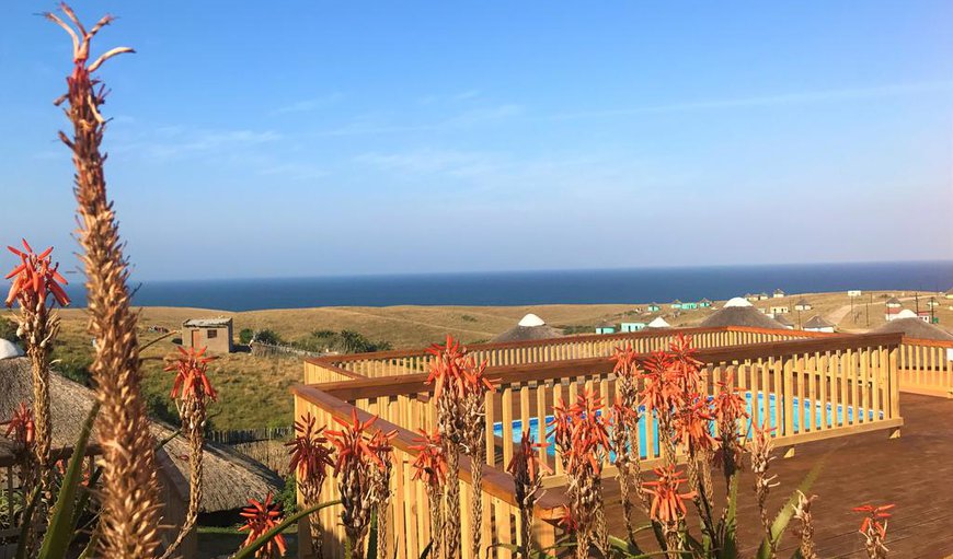 Set within the rolling hills of Mngcibe (North side of the Mdumbi River), we invite you to enjoy pure relaxation and fun while supporting a green way of life. Set within the rolling hills of Mngcibe (North side of the Mdumbi River), we invite you to enjoy pure relaxation and fun while supporting a green way of life.