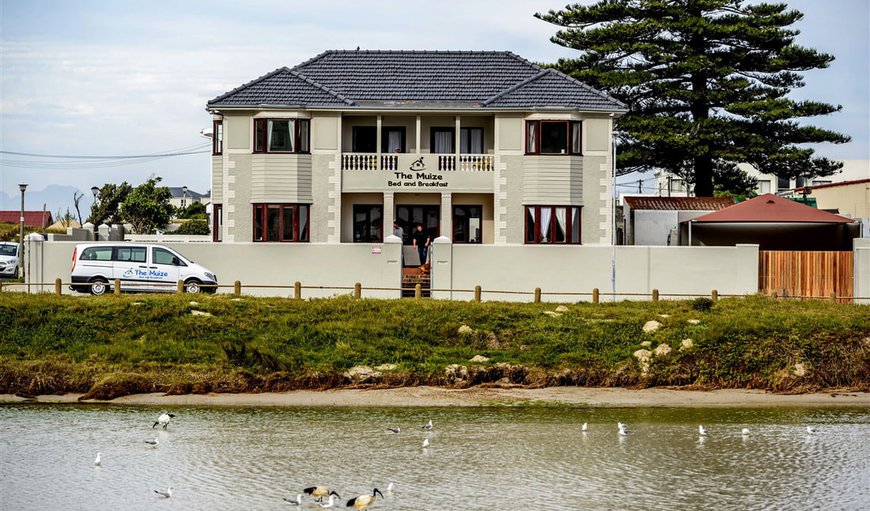 Welcome to The Muize B&B - Situated on the Zandvlei Nature Reserve estuary with mountain, sea and river views, a birdwatchers paradise, this is your perfect home away from home. in Muizenberg, Cape Town, Western Cape, South Africa