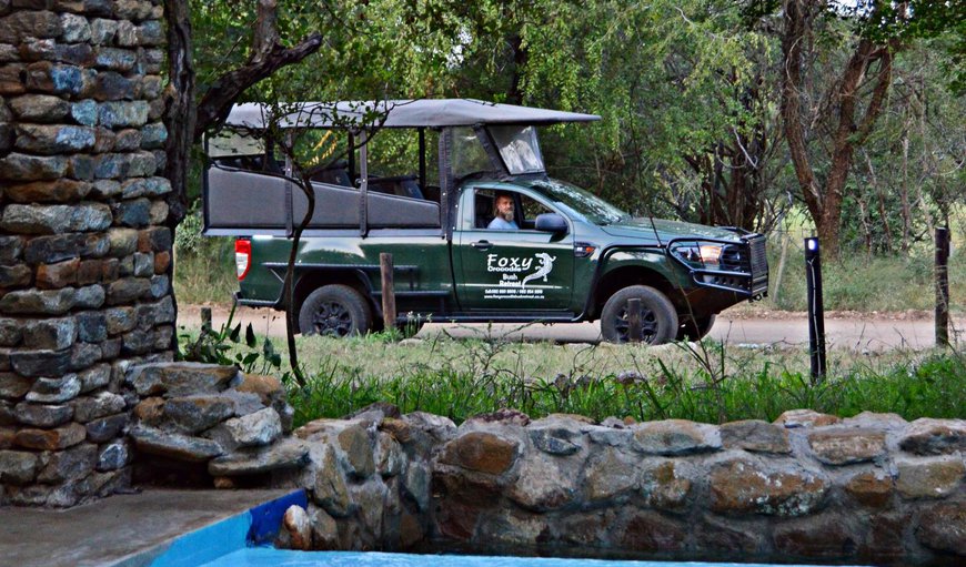 Welcome to Foxy Crocodile Bush Retreat