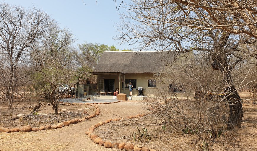 Welcome to Safari Bush Retreat in Marloth Park, Mpumalanga, South Africa