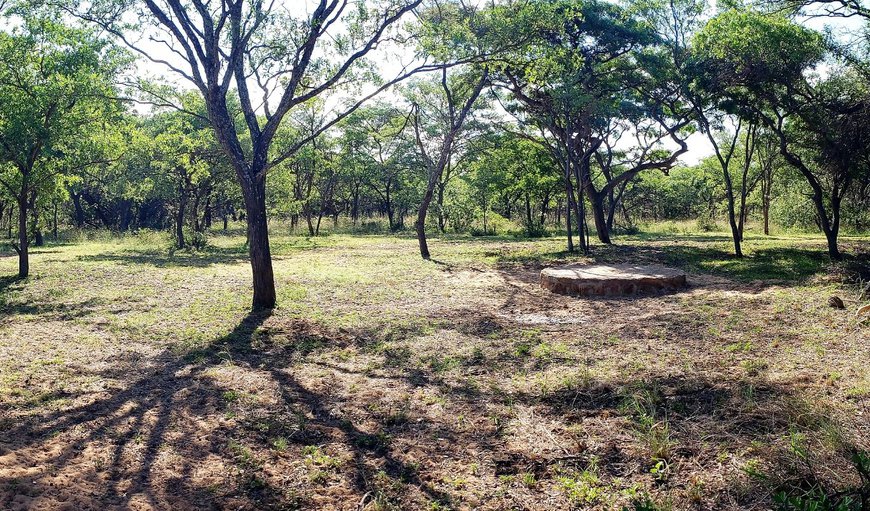 Bush camp: Bush camp - Firepit, firewood and clean water are supplied - for the rest you need to be self sufficient, as there is no bathroom