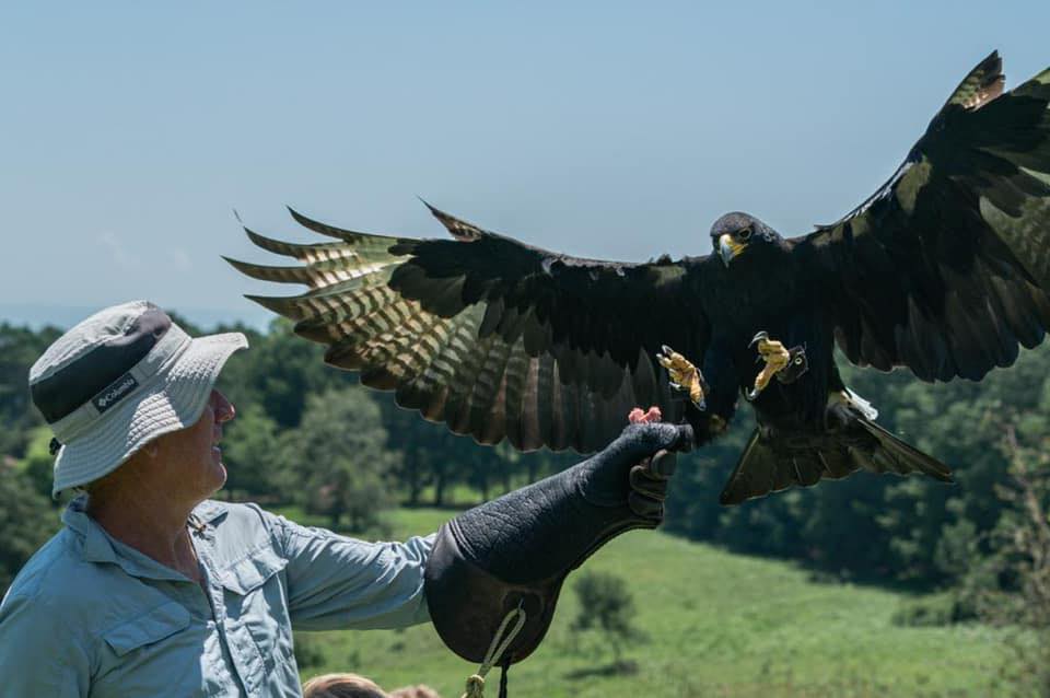 tourist attractions in drakensberg south africa