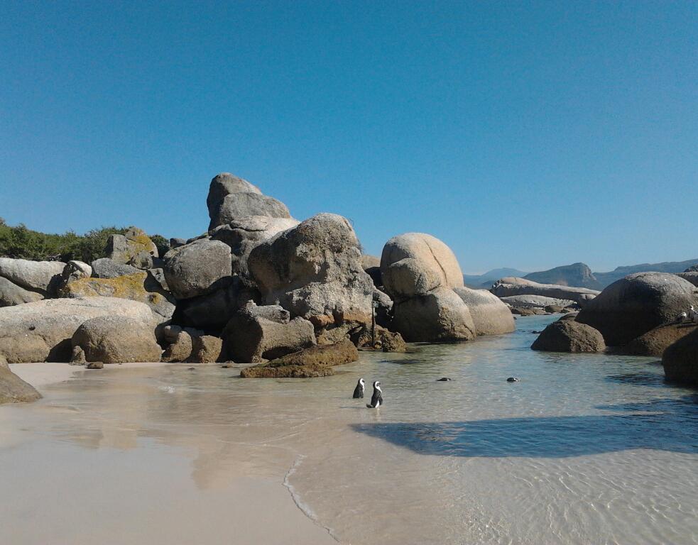 Top 10 Activities near Simon’s Town