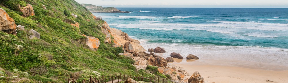 Top 19 Activities in Plettenberg Bay