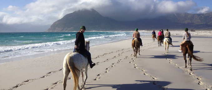 Top Must-do Activities in Cape Town