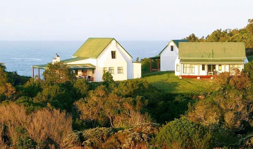 Welcome to Bishops Cove in Tsitsikamma, Eastern Cape, South Africa