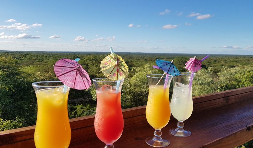 Sundowners on viewing deck in Hoedspruit, Limpopo, South Africa