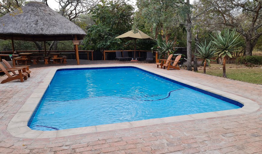 Swimming Pool in Hoedspruit, Limpopo, South Africa