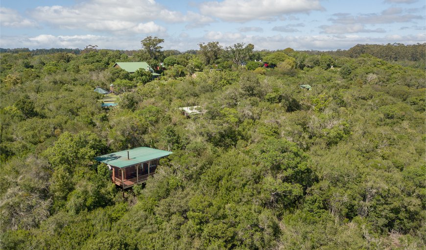 Vervet Forest Cabin: Birds eye view of Vervet Forest Cabin