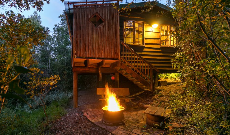 Bushpig Forest Cabin: Firefly & Bushpig Forest Cabins.