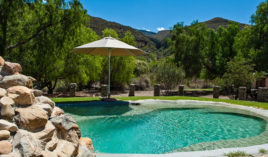 Welcome to Rietfontein Guest Farm - Swimming Pool in Ladismith, Western Cape, South Africa