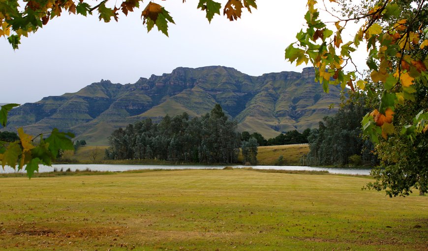 Welcome to Stoneyhall Farm. in Underberg, KwaZulu-Natal, South Africa