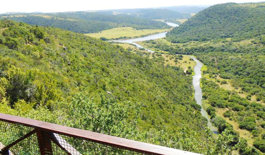 Welcome to Mansfield Lodge in Port Alfred, Eastern Cape, South Africa