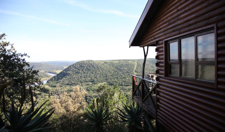 Eagles Nest Cabin: Eagles Nest Cabin