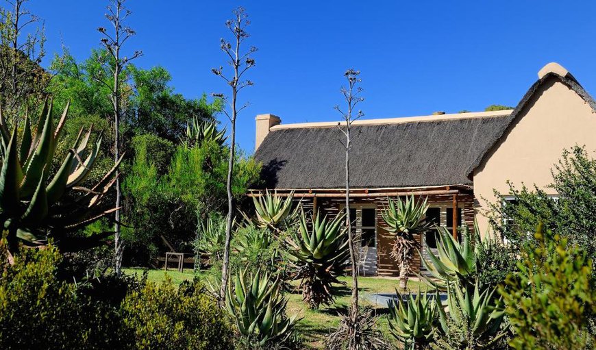 Black Poodle Cottage: Cottage