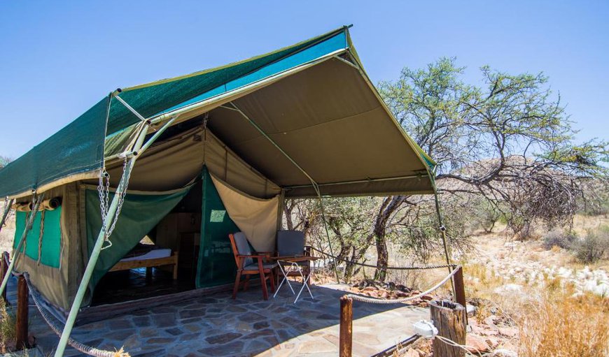 Luxury Tent: Tent