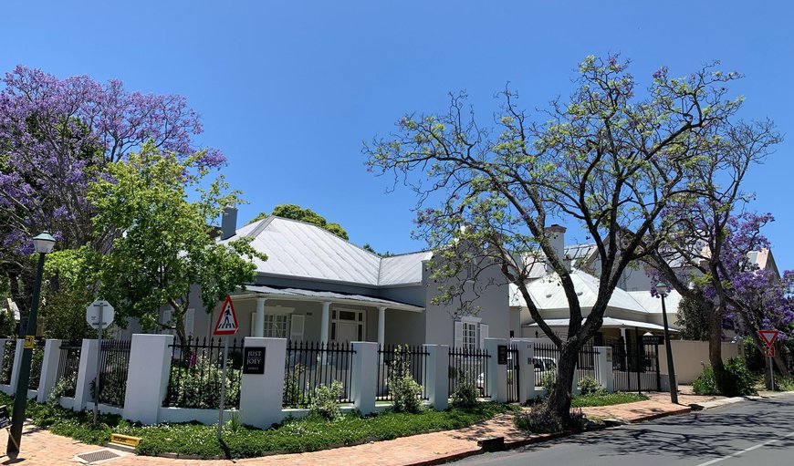 Welcome to Just Joey Lodge in Stellenbosch, Western Cape, South Africa