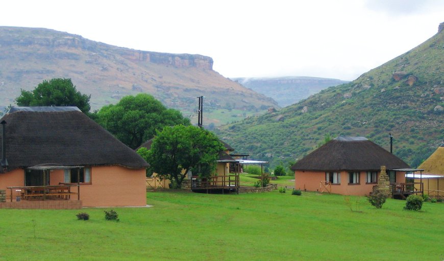 Welcome to Camelroc Guest Farm in Fouriesburg, Free State Province, South Africa