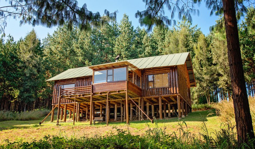 Single Storey Cabin (Upmarket): Singke storey cabin exterior