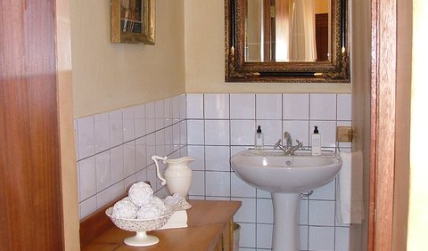Standard Room - King / Twin- Shower only: Hoepoe Nest Bathroom - Shower Only