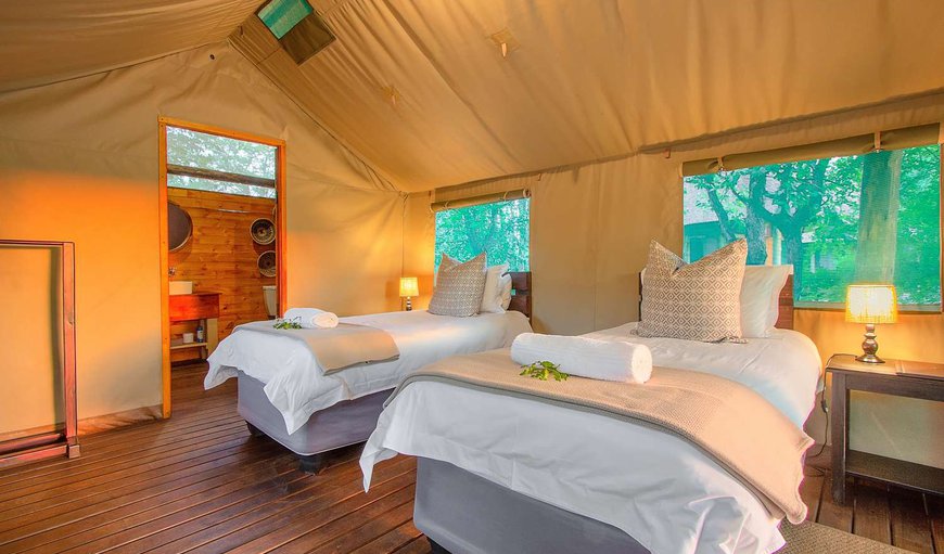 Safari Tent with en-suite Bathroom 5: Safari Tent