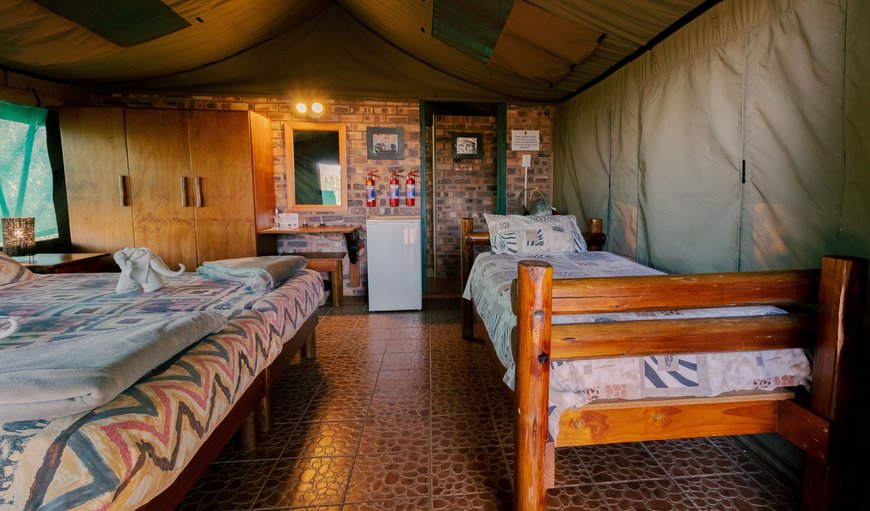 Luxury Safari Tent 01: Luxury Safari Tent 01 & 02 each with 3x singe bed