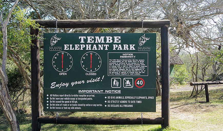 Welcome to Tembe Elephant Park in Durban, KwaZulu-Natal, South Africa