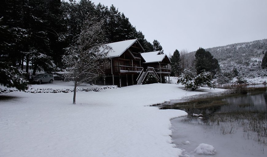 A beautiful 8 Bedroom log style lodge built on the edge of the 4-hectare Brown and Rainbow trout dam.