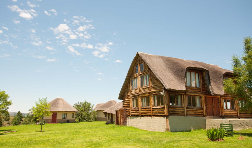 Log Cabin: Exterior