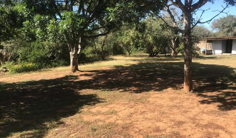 Bush Camping: View (from property/room)