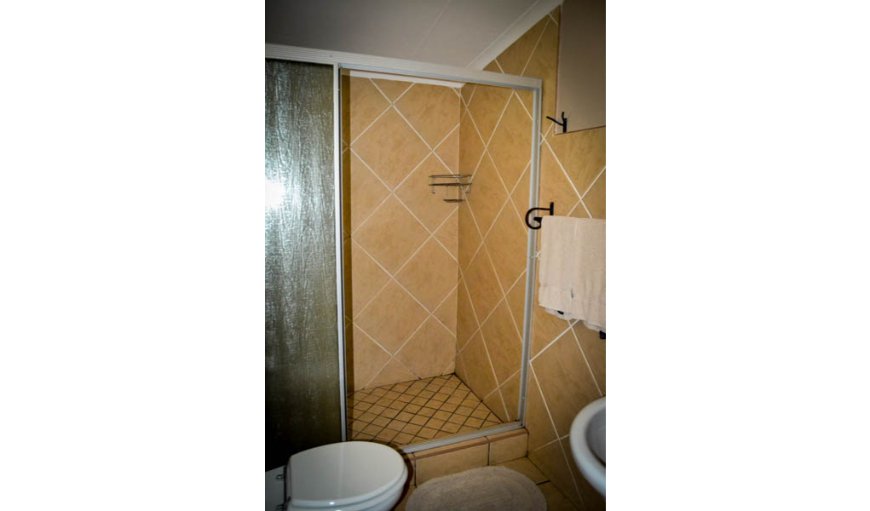 Standard Twin Room: Standard Twin Room en-suite bathroom with shower.
