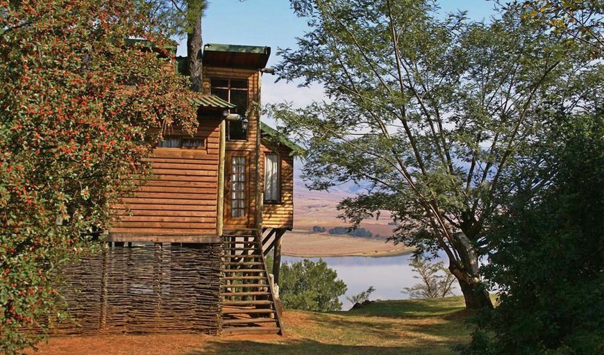 Bahati Tree Cabin: Welcome to Treks, Trips and Trails (photo Bahati Tree Cabin)