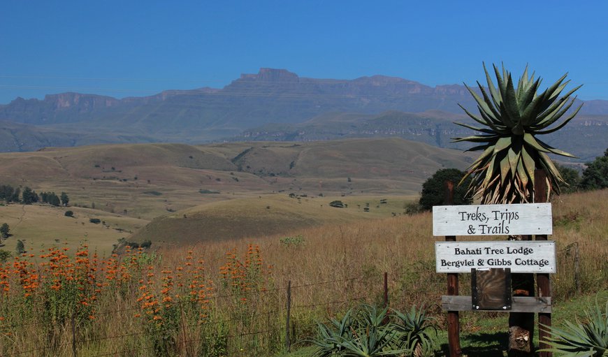 Treks, Trips and Trails