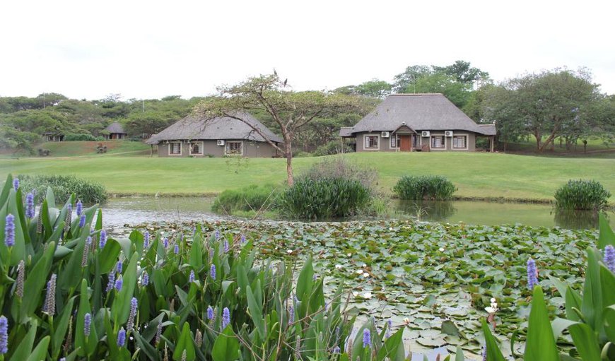 Welcome to Ascot Bush Lodge! in Scottsville, Pietermaritzburg, KwaZulu-Natal, South Africa
