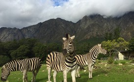 Franschhoek Country Cottages image