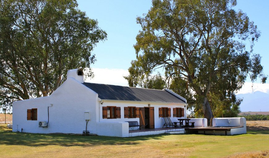 Welcome to Denneboom Vineyard and Wildlife Cottages in Paarl, Western Cape, South Africa