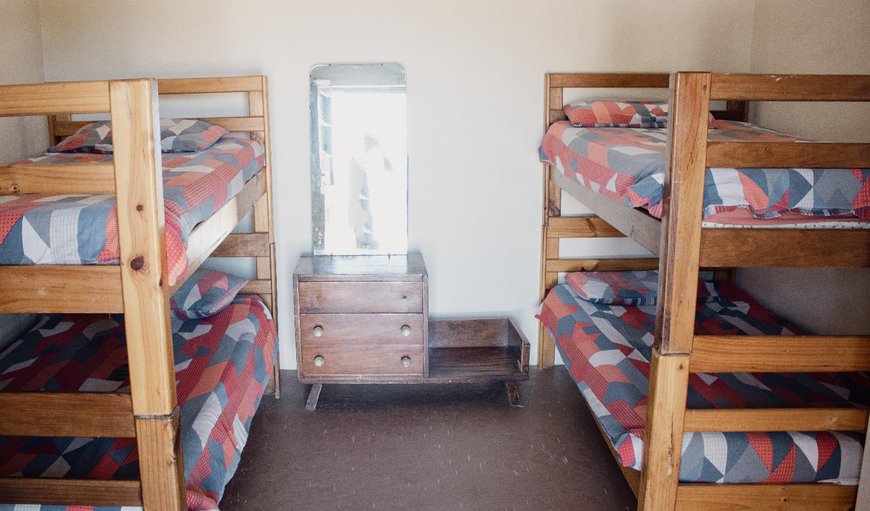 Bunk-Bed Backpacker: Bed