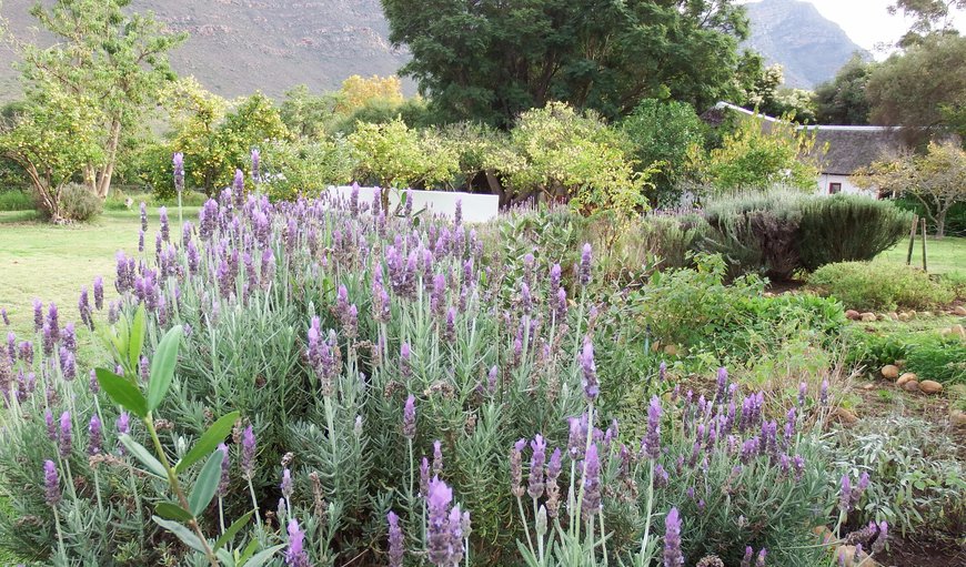 Welcome to Kapteinskloof in Piketberg, Western Cape, South Africa