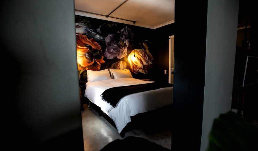 Self Catering photo 97