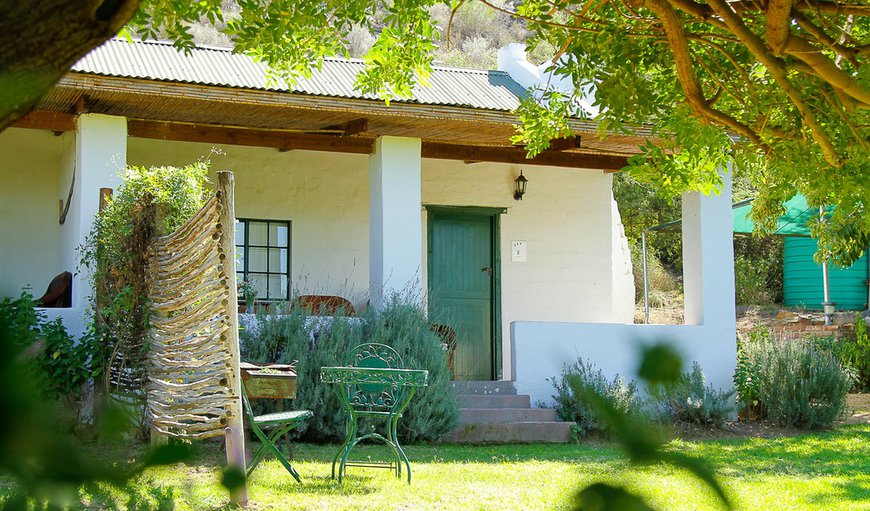 Lavender Cottage: Lavender Cottage