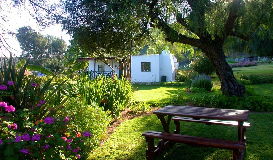 Green Cottage: Green Cottage