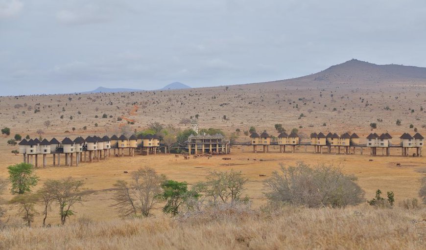 Sarova Salt Lick Game Lodge offers 96 rooms, elevated on stilts.