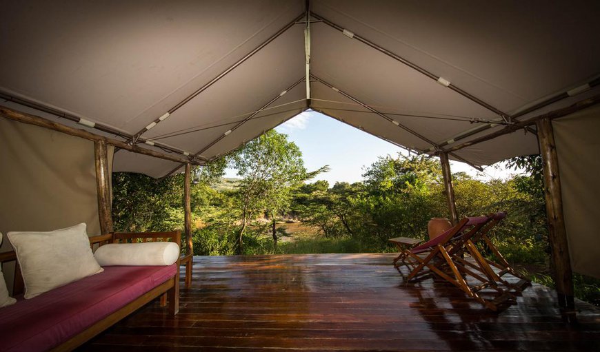 Luxury tent: Luxury Tents