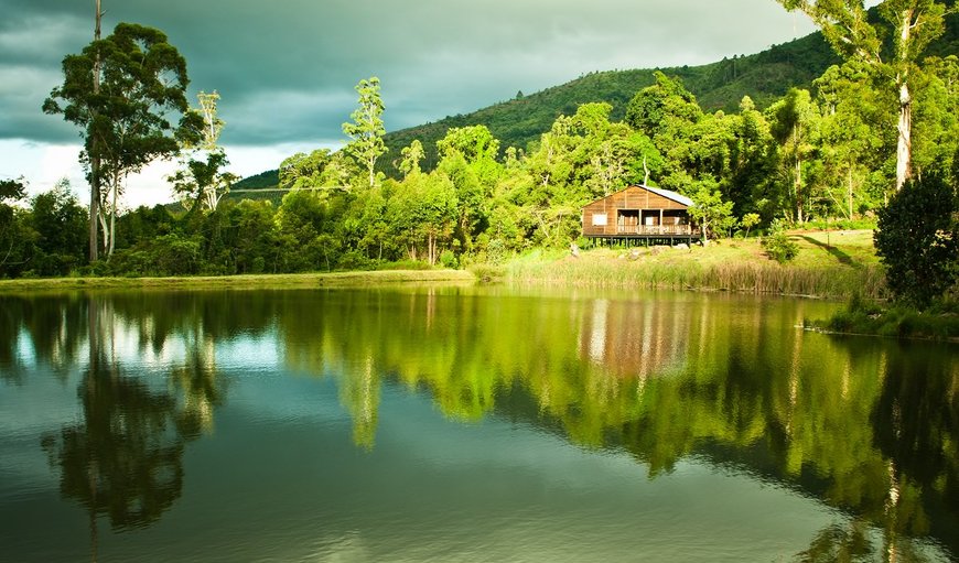 Welcome to Magoebaskloof Getaway in Magoebaskloof, Limpopo, South Africa