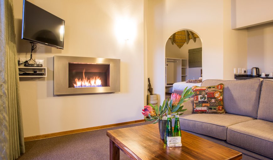 Mountain Suites : Mountain Suite lounge with TV, DVD player and a gas operated fireplace.