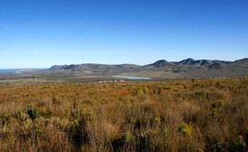 Farm 215 Nature Retreat & Fynbos Reserve image