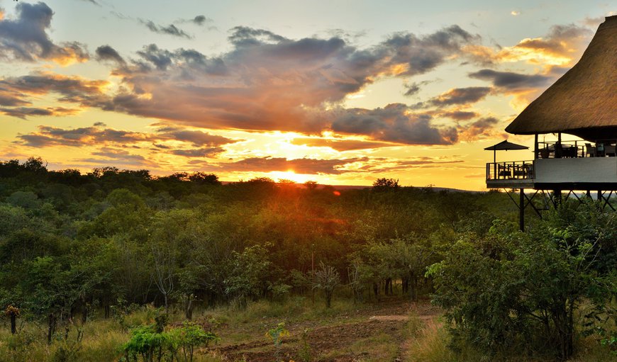 The magnificent Victoria Falls Safari Club perches high on a sprawling plateau, with views of unspoilt bushveld and spectacular African sunsets.