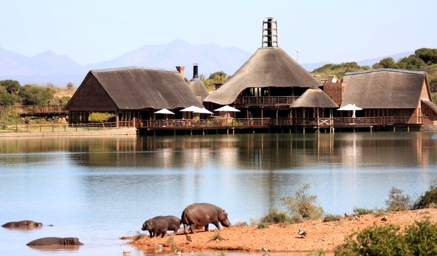 Buffelsdrift Game Lodge