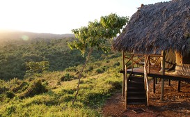 Crater Forest Tented Camp image
