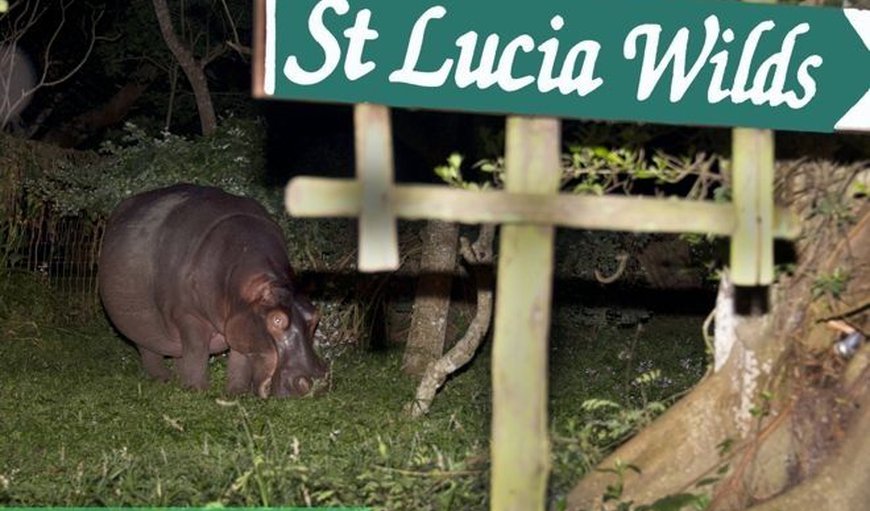 Welcome to St Lucia Wilds Cottages